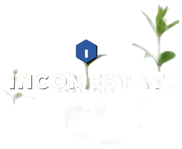 IncomeStat Analytics logo